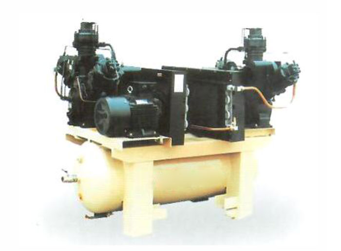 T30無(wú)油潤(rùn)滑活塞